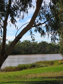 Warrego River Walk - Accommodation Cairns 2