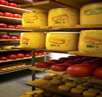 Alexandrina Cheese Company - Accommodation Cairns