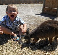 Animal Farm Goolwa - Accommodation Cairns