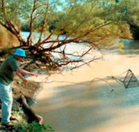 Charleville - Ward River Fishing Spot - Accommodation Cairns