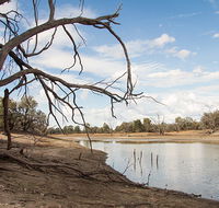 Toorale National Park - Accommodation Cairns