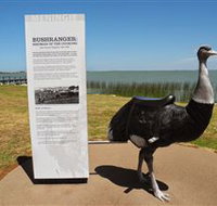 Birdman of the Coorong - Accommodation Cairns