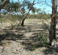 Tintinara Walking Trail - Accommodation Cairns