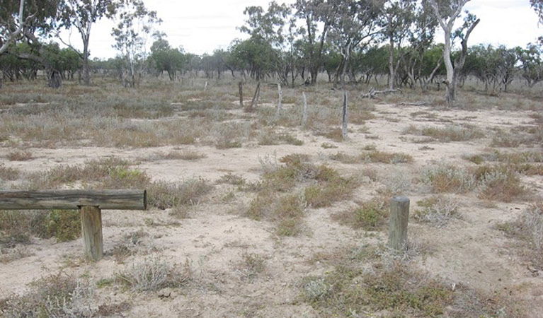 Gongolgon NSW Accommodation Cairns