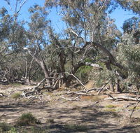Mirri Mirru Yurun - Accommodation Cairns