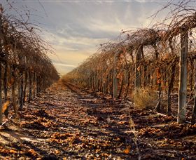Andrew Peace Wines - Accommodation Cairns 2