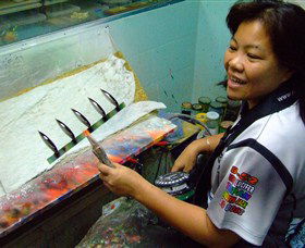 Reidy's Fishing Lures - Accommodation Cairns 1