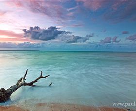Paul Arnold Gallery - Accommodation Cairns 1