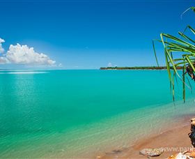 Paul Arnold Gallery - Accommodation Cairns 4