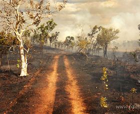 Paul Arnold Gallery - Accommodation Cairns 5