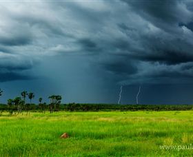 Paul Arnold Gallery - Accommodation Cairns 3