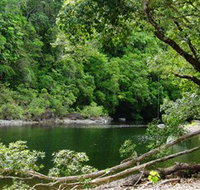 Broadwater Abergowrie State Forest - Accommodation Cairns