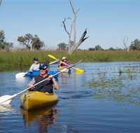Marsh Meanders - Accommodation Cairns