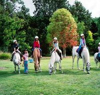 Limestone Coast Horseriding - Accommodation Cairns