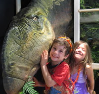 Australian Opal Centre - Accommodation Cairns