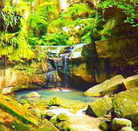 Carnarvon Gorge Carnarvon National Park - Accommodation Cairns