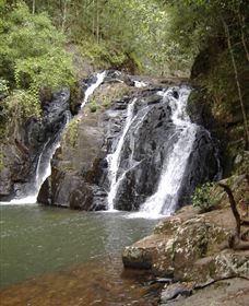 Pepina Falls - Accommodation Cairns 0