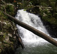 Souita Falls - Accommodation Cairns