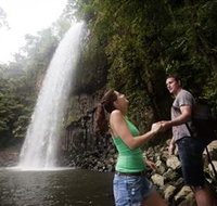 Millaa Millaa Falls - Accommodation Cairns