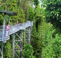 Mamu Tropical Skywalk - Accommodation Cairns