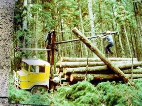 Nangwarry Forestry And Logging Museum - Accommodation Cairns 3