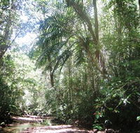 Mount Lewis National Park - Accommodation Cairns
