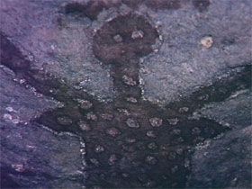 Accommodation Cairns
