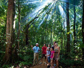 Mossman Gorge Centre - Accommodation Cairns 3