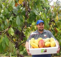 Sweet Farm Tours - Accommodation Cairns