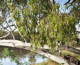 Beach To Beach Riverside Walk - Accommodation Cairns 6