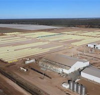 Southern Cotton Gin - Accommodation Cairns