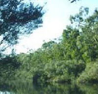 Crawford River Regional Park - Accommodation Cairns