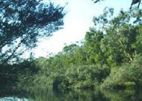 Crawford River Regional Park - Accommodation Cairns 0