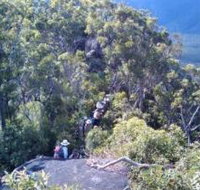 Mia Mia State Forest - Accommodation Cairns