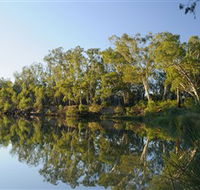 iWaterSki - Accommodation Cairns