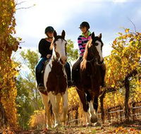 Billabong Ranch - Accommodation Cairns