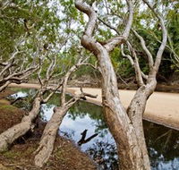 Oyala Thumotang National Park CYPAL - Accommodation Cairns