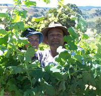 Wimmera Hills Winery - Accommodation Cairns