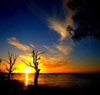 Lake Cowal - Accommodation Cairns