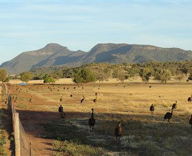 Tooraweenah NSW Accommodation Cairns