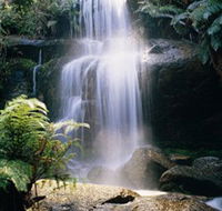 Mount Buangor State Park - Accommodation Cairns