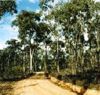 Paddys Ranges State Park - Accommodation Cairns