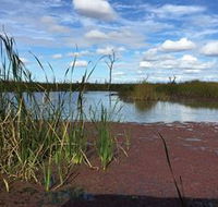 Gwydir Wetlands - Accommodation Cairns
