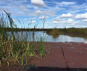 Gwydir Wetlands - Accommodation Cairns 0