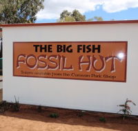 Big Fish Fossil Hut at Peak Hill - Accommodation Cairns