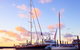 Abell Point Marina - thumb 1