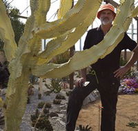 Cactus Country - Accommodation Cairns