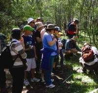 Warrumbungle National Park Discovery Program - Accommodation Cairns
