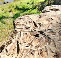 Terramungamine Rock Grooves - Accommodation Cairns