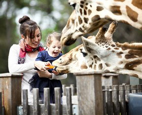 Taronga Western Plains Zoo, Dubbo - Accommodation Cairns 0